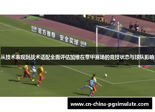 从技术表现到战术适配全面评估加维在意甲赛场的竞技状态与球队影响
