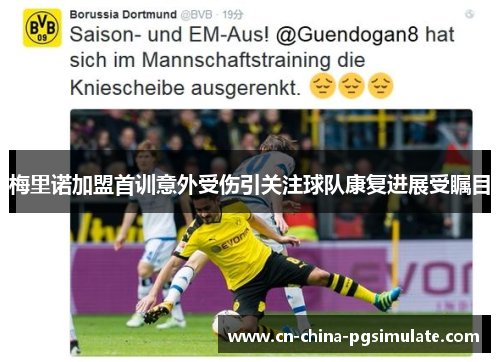 梅里诺加盟首训意外受伤引关注球队康复进展受瞩目 梅里诺加盟首训意外受伤引关注球队康复进展受瞩目