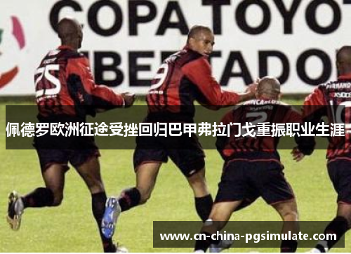 佩德罗欧洲征途受挫回归巴甲弗拉门戈重振职业生涯 佩德罗欧洲征途受挫回归巴甲弗拉门戈重振职业生涯